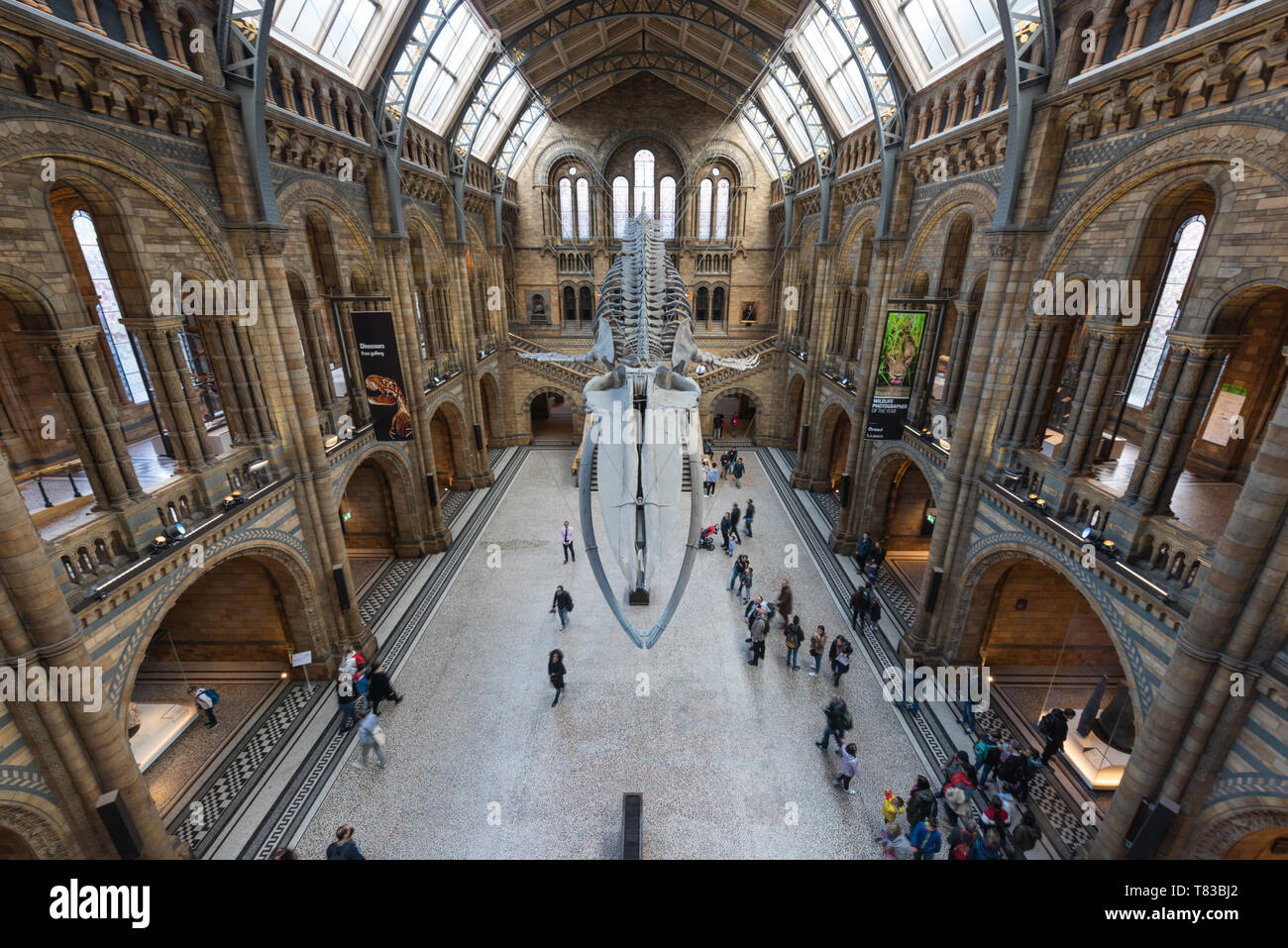 National History Museum in London, England. Stock Photo