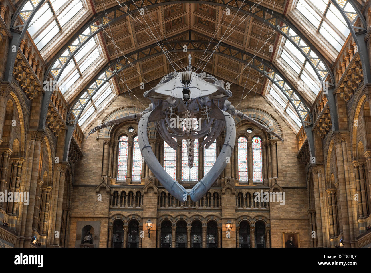 National History Museum in London, England. Stock Photo