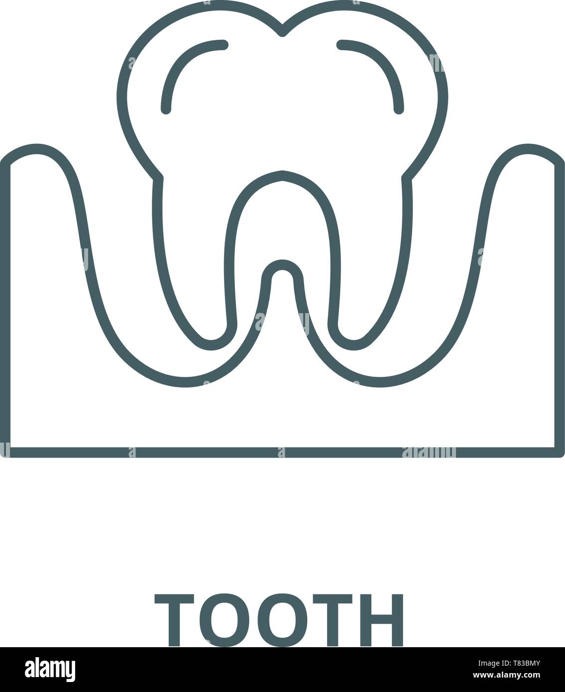 Tooth vector line icon, linear concept, outline sign, symbol Stock ...