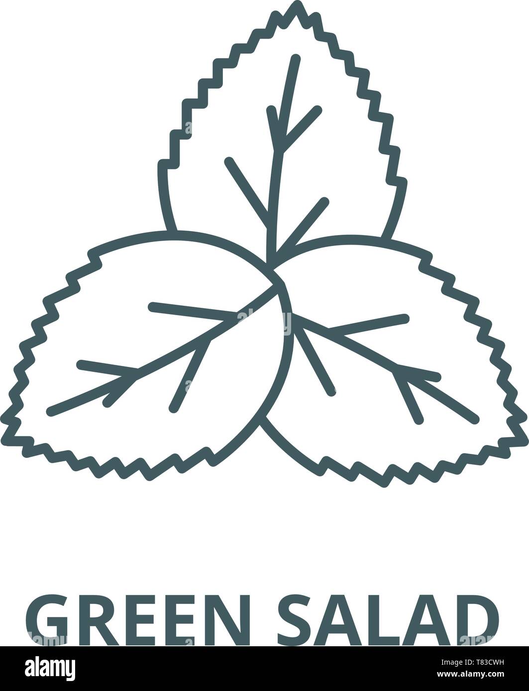 Mint,green salad vector line icon, linear concept, outline sign, symbol ...
