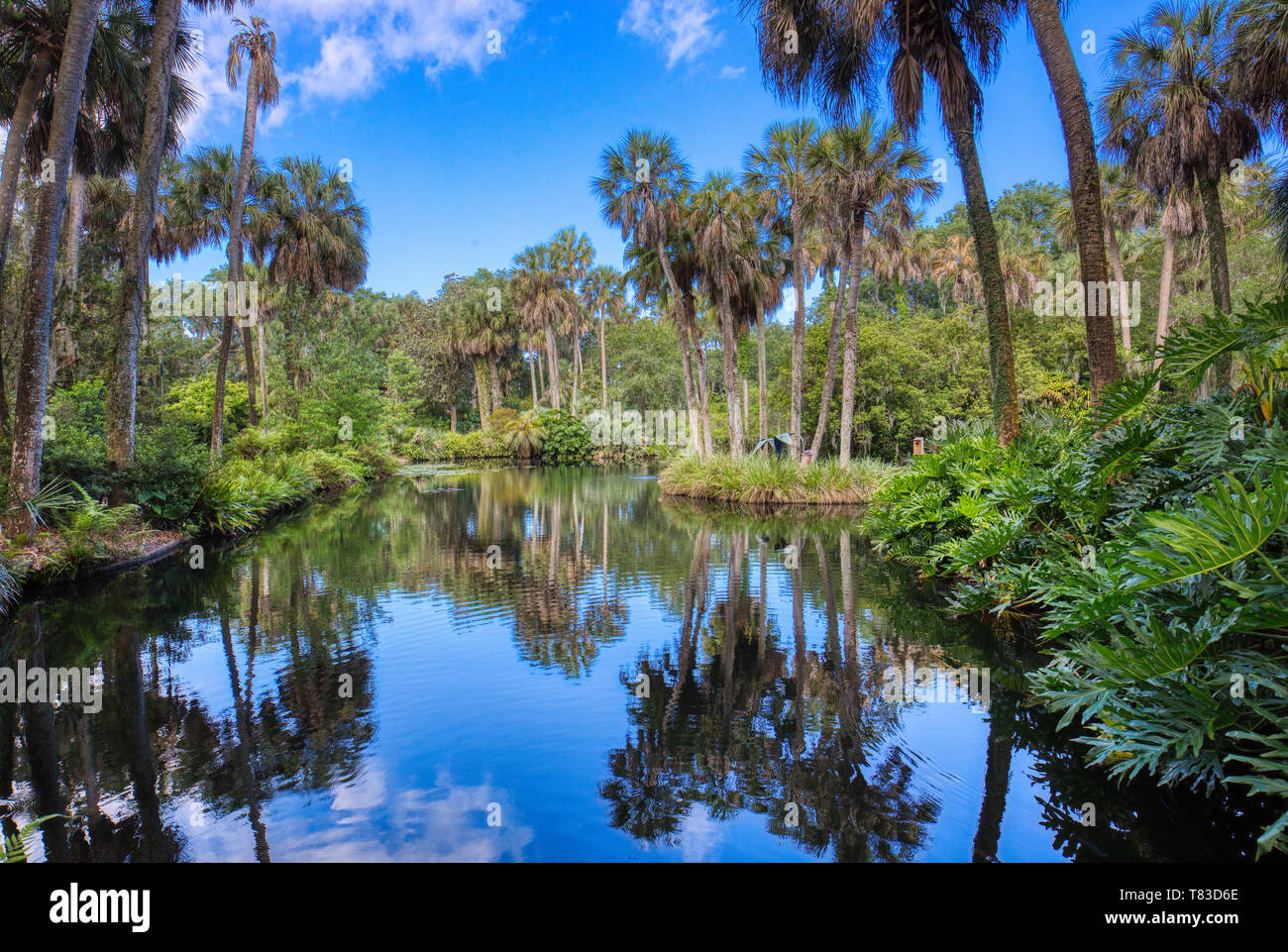 Reflectin pool in Bok Tower Gardens also known as Bok Mountain Lake Sanctuary Lakes Wales Polk