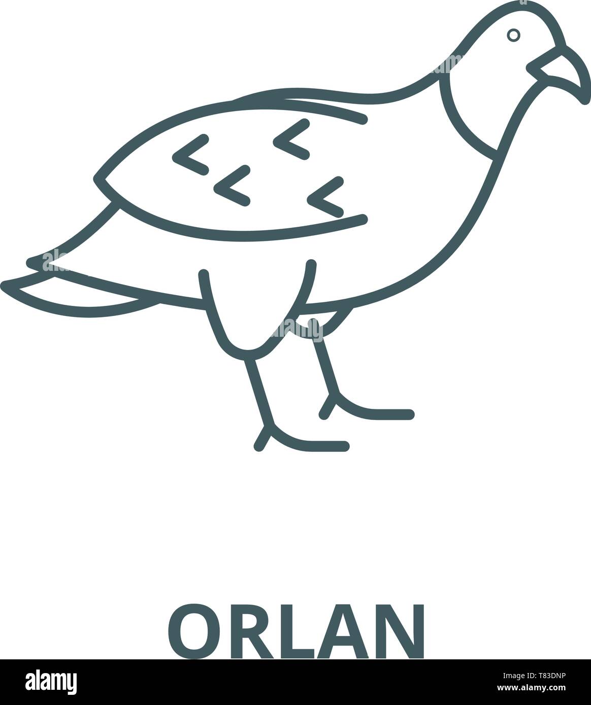 Orlan vector line icon, linear concept, outline sign, symbol Stock ...