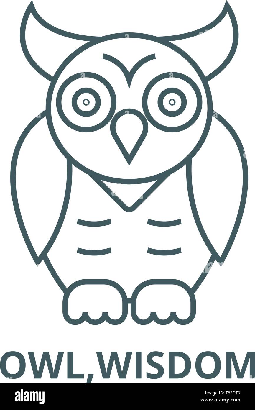Owl,wisdom vector line icon, linear concept, outline sign, symbol Stock