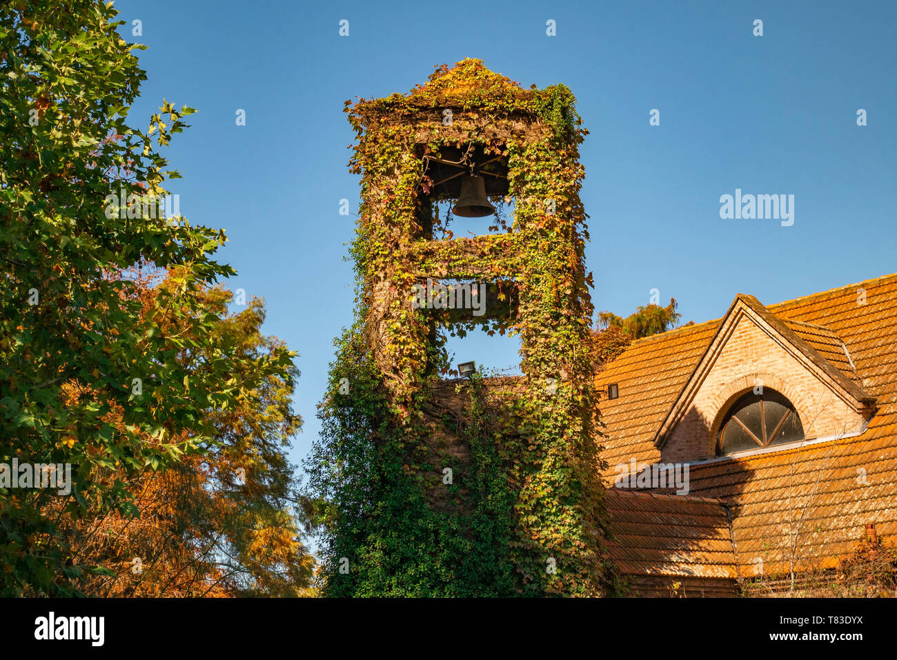 Yellows, reds and ochres in a bell tower in a sunny autumn park. The colors and luminosity of autumn take over this rural image in the suburbs. Stock Photo