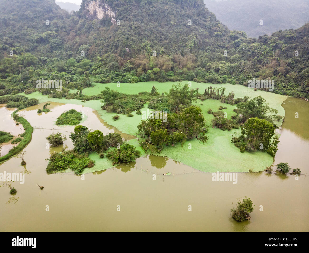Aerial view of lake and birds sanctuary, Thung Nham Bird Park Stock Photo