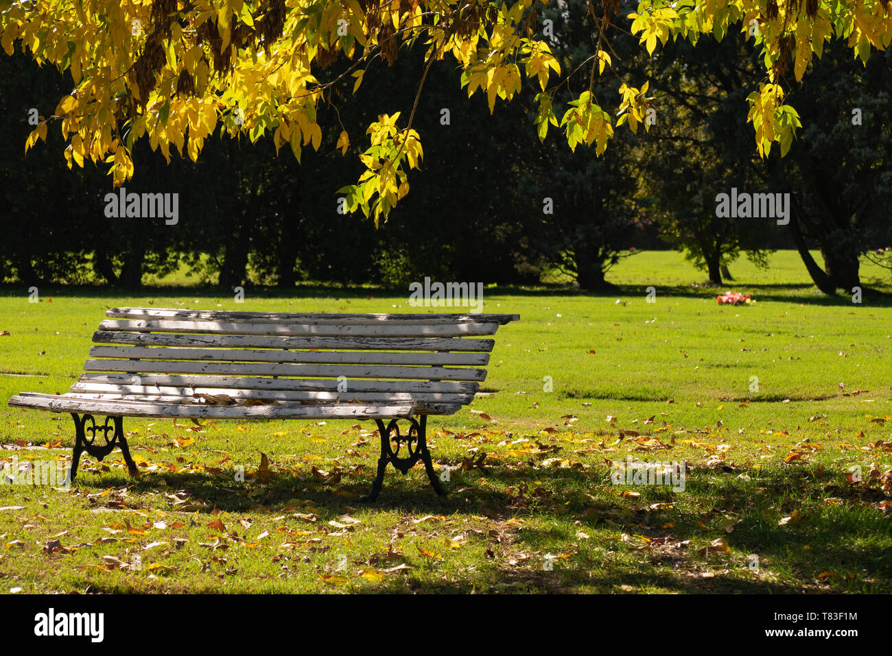 The colors and luminosity of autumn take over this rural image in the suburbs city of Buenos Aires, Argentina. Stock Photo