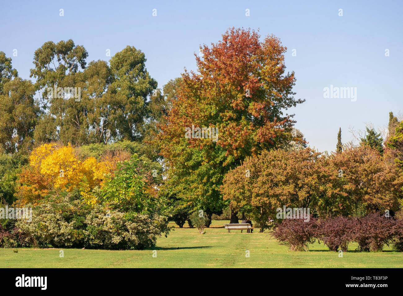 The colors and luminosity of autumn take over this rural image in the suburbs city of Buenos Aires, Argentina. Stock Photo