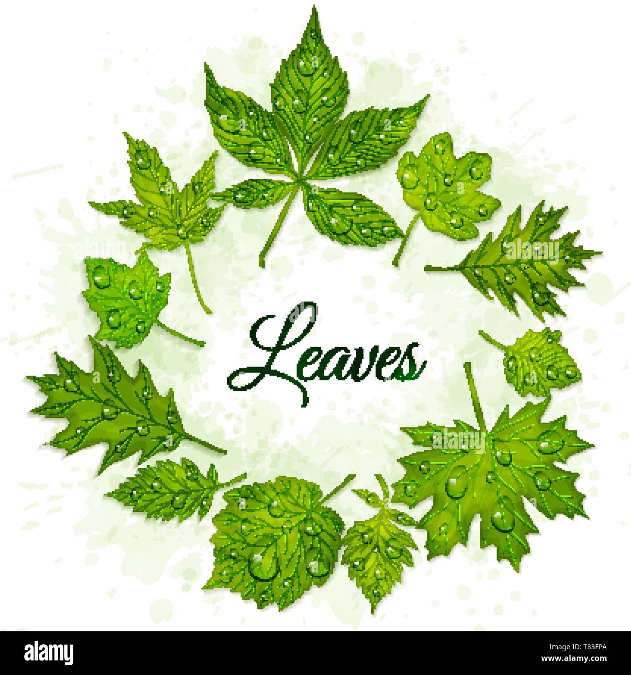 Vector frame of green leaves Stock Vector Image & Art - Alamy