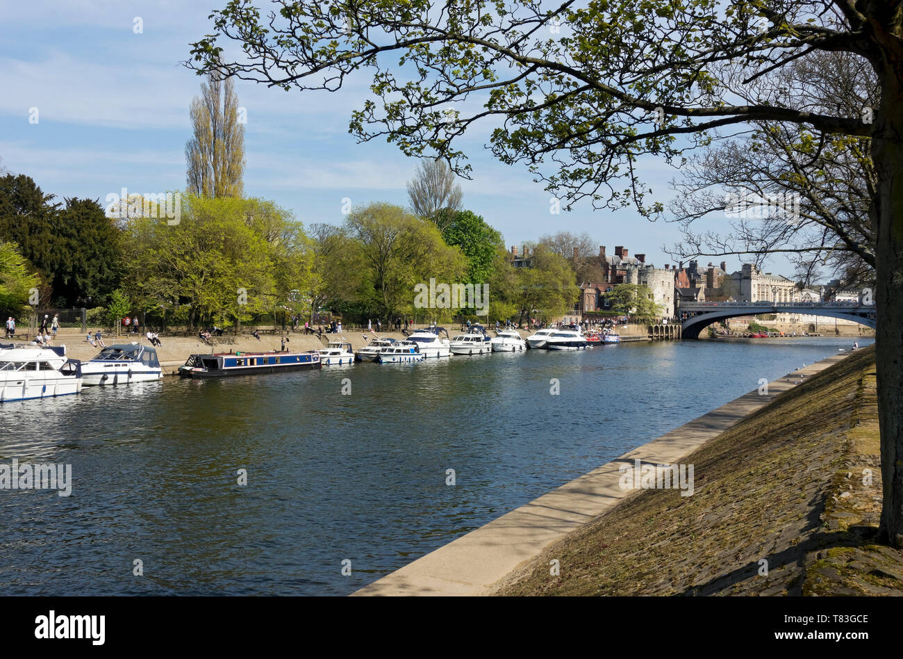Boats moored along the River Ouse in spring York North Yorkshire England UK United Kingdom GB Great Britain Stock Photo