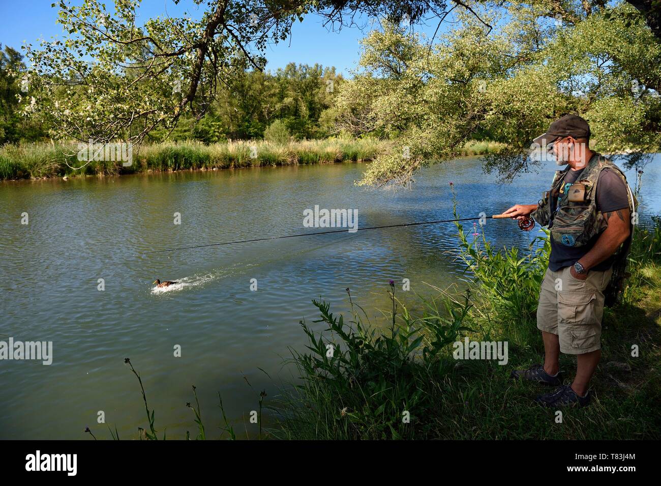 France, Alpes de Haute Provence, Parc Naturel Regional du Verdon (Natural Regional Park of Verdon), Greoux les Bains, trout fishing on the banks of the Verdon river Stock Photo