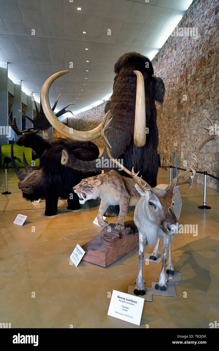 France, Alpes de Haute Provence, Parc Naturel Regional du Verdon, Quinson, Museum of the Gorges du Verdon Prehistory designed by architect Norman Foster Stock Photo