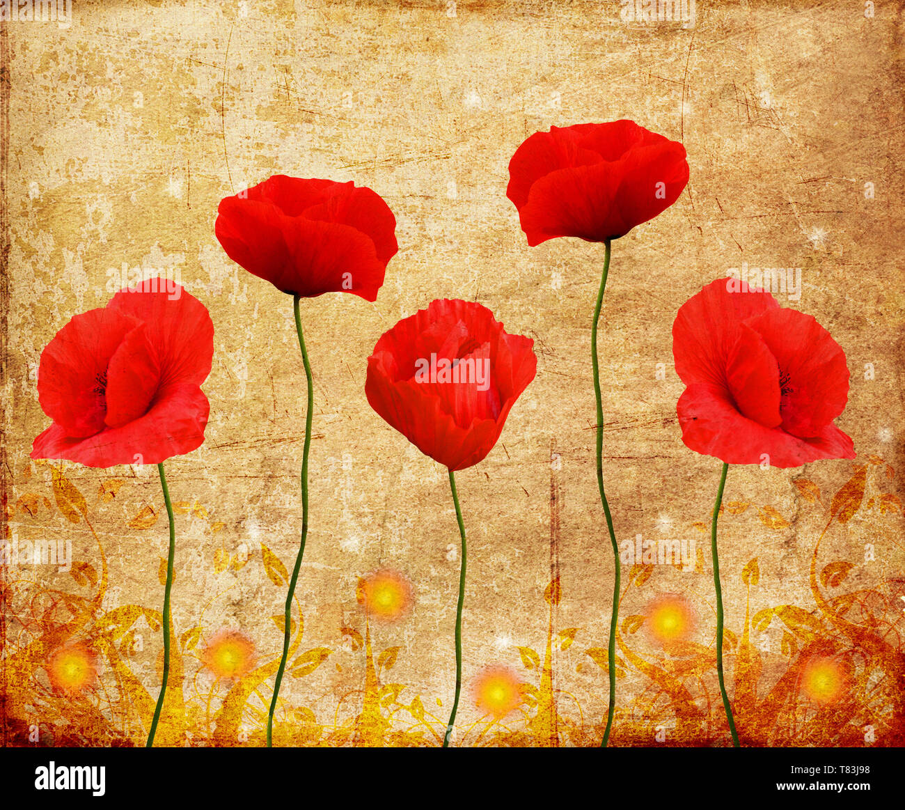 Red poppies on a vintage background Stock Photo - Alamy