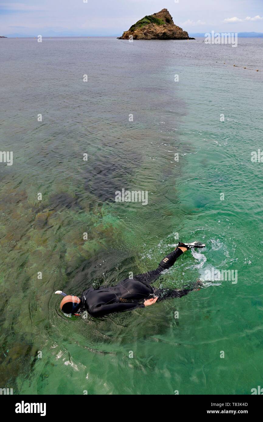France Var Iles D Hyeres Parc National De Port Cros National Park Of Port Cros Port Cros Island La Palud Beach Rock Rascas Underwater Trail Of Palud Stock Photo Alamy France Var Iles D Hyeres Parc National De Port Cros National Park Of Port Cros Port Cros Island La Palud Beach Rock Rascas Underwater Trail Of Palud Stock Photo Alamy