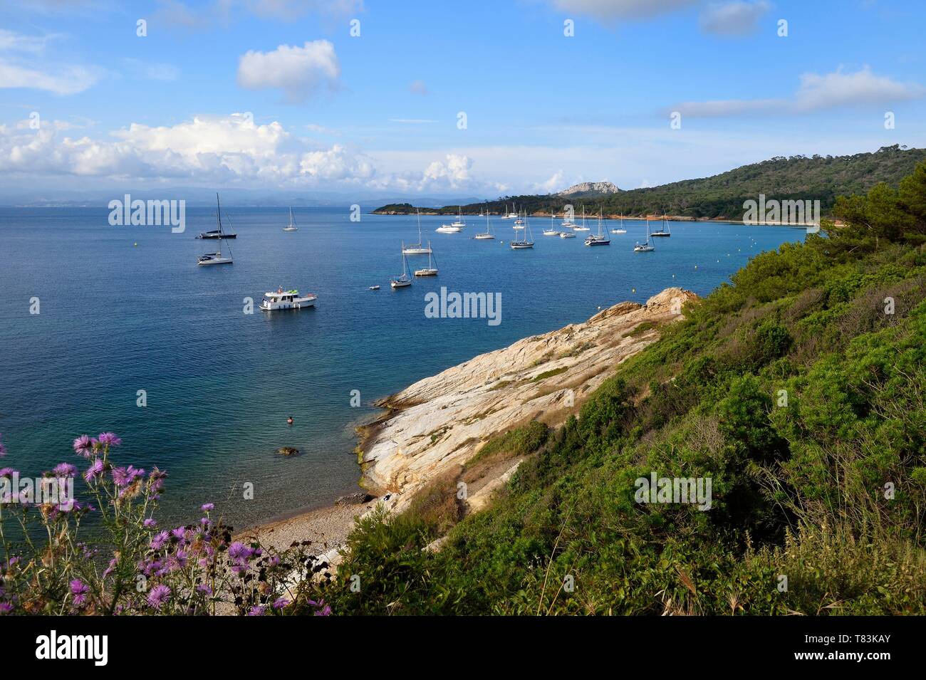 France Var Iles D Hyeres Parc National De Port Cros National Park Of Port Cros Porquerolles Island La Courtade Beach Stock Photo Alamy