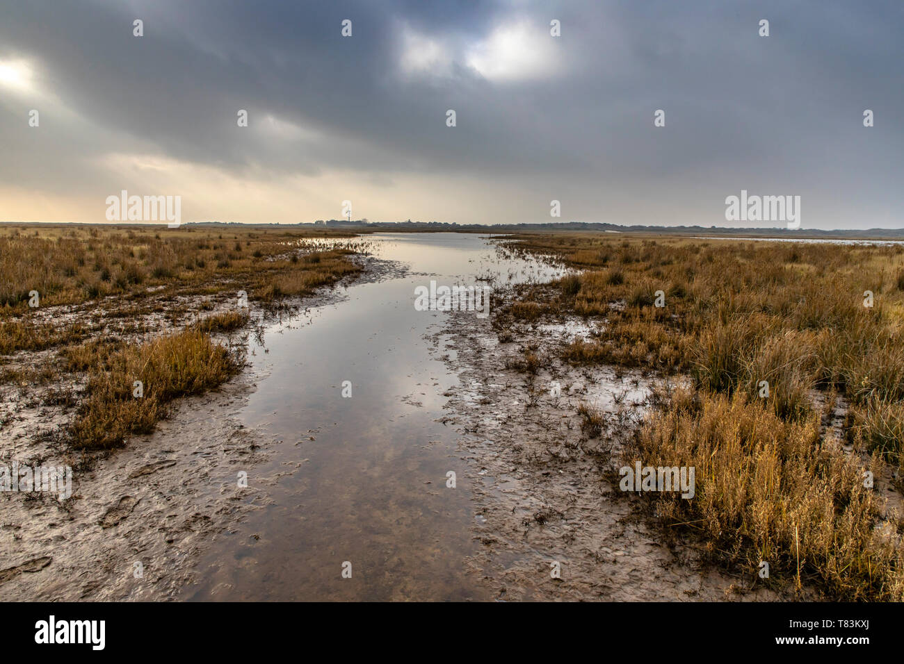 East Frisian North Sea Island Spiekeroog, Wadden Sea National Park, in winter, marsh landscape in the east of the island, Germany, Stock Photo