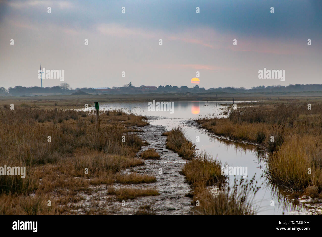 East Frisian North Sea Island Spiekeroog, Wadden Sea National Park, in winter, marsh landscape in the east of the island, Germany, Stock Photo