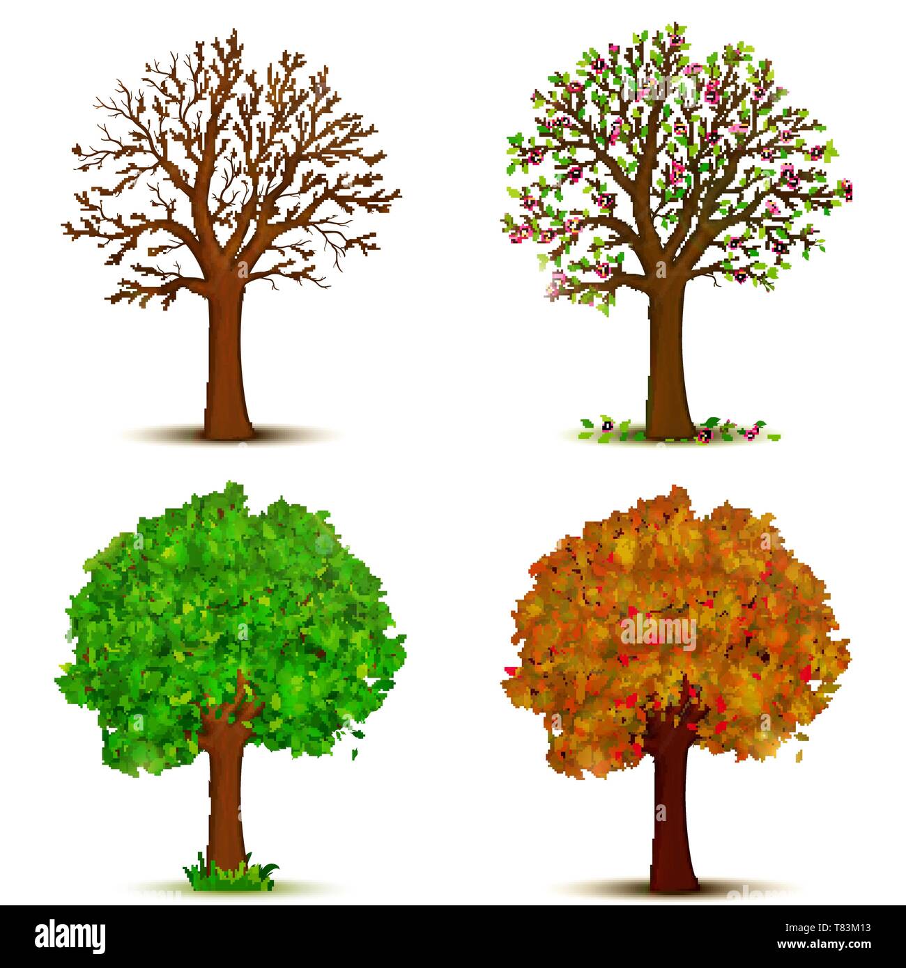 Four seasons trees vector Stock Vector Image & Art Alamy