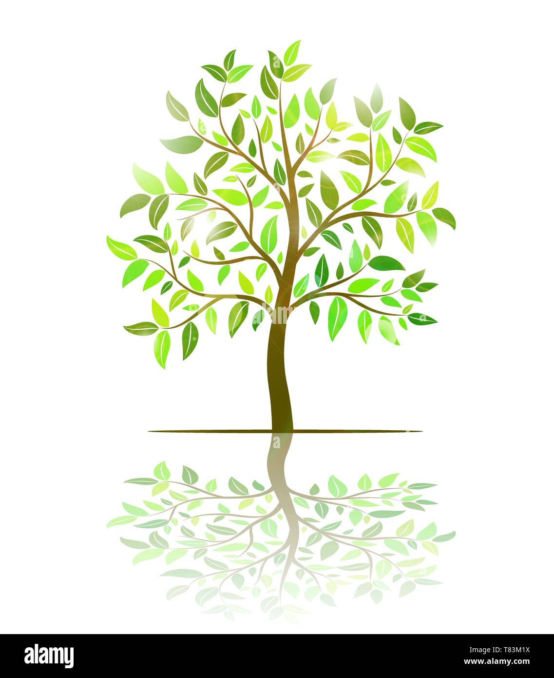 Tree with green leaves vector Stock Vector Image & Art - Alamy