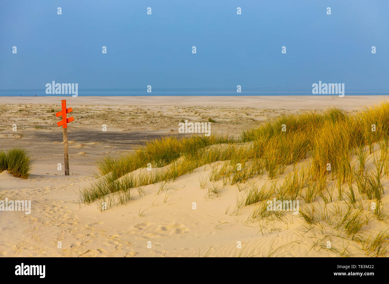 East Frisian North Sea  Island Spiekeroog, Wadden Sea National Park, in winter, beach and dune landscape in the east of the island, Germany Stock Photo