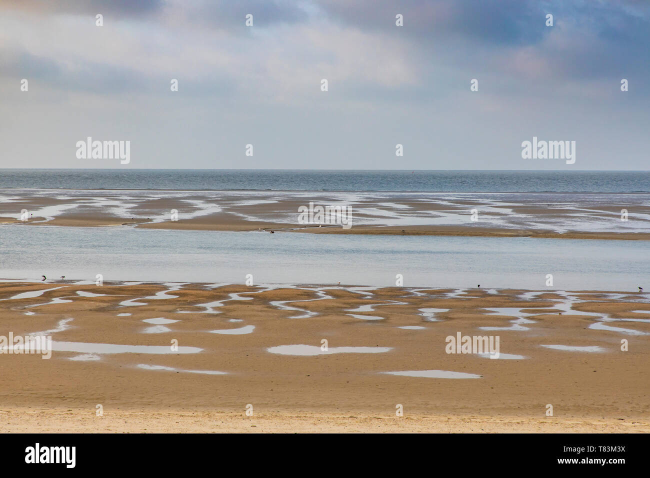 East Frisian North Sea  Island Spiekeroog, Wadden Sea National Park, in winter, beach and dune landscape in the west of the island, Germany Stock Photo