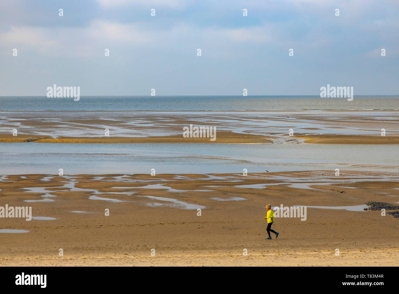 East Frisian North Sea  Island Spiekeroog, Wadden Sea National Park, in winter, beach and dune landscape in the west of the island, Germany Stock Photo