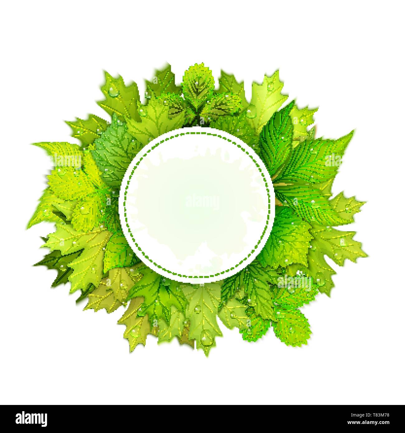 Vector frame with green leaves Stock Vector Image & Art - Alamy
