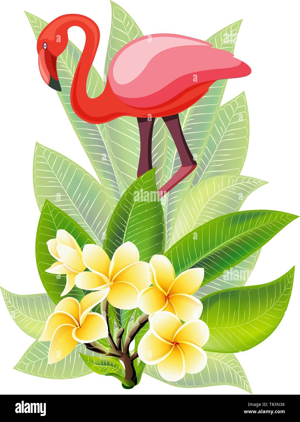 Summer design for advertising with flamingo, tropical leaves and flowers Stock Vector