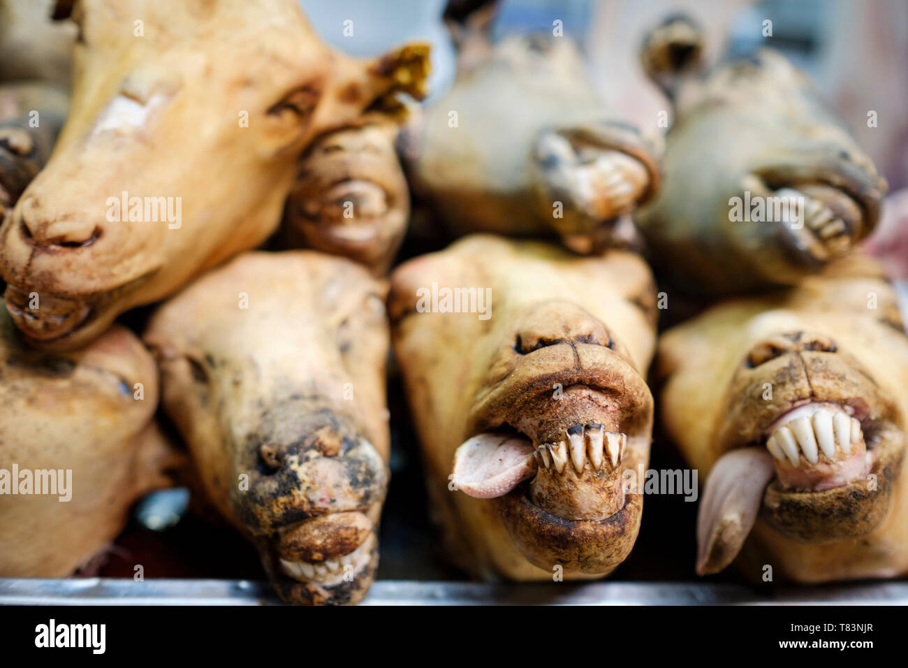 Sheep heads for sale at Central Market or Mercado Central of Huaraz
