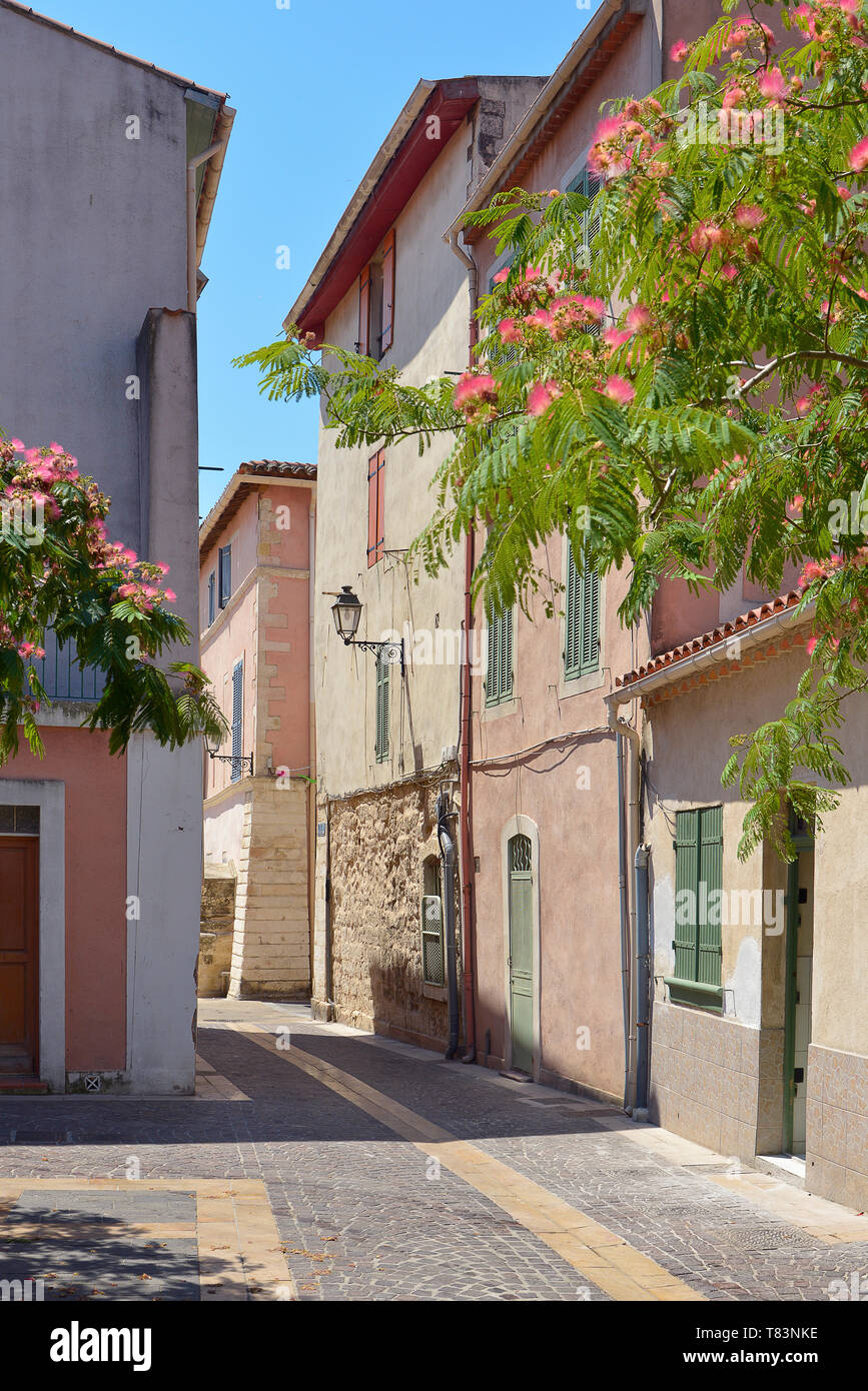 Typical street with Albizia julibrissin trees blooming at Martigues in France, a commune northwest of Marseille. Stock Photo