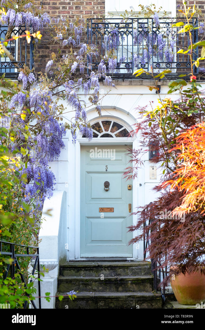 House with shrubs, small trees and wisteria in Bedford gardens, Notting Hill, West London, England Stock Photo