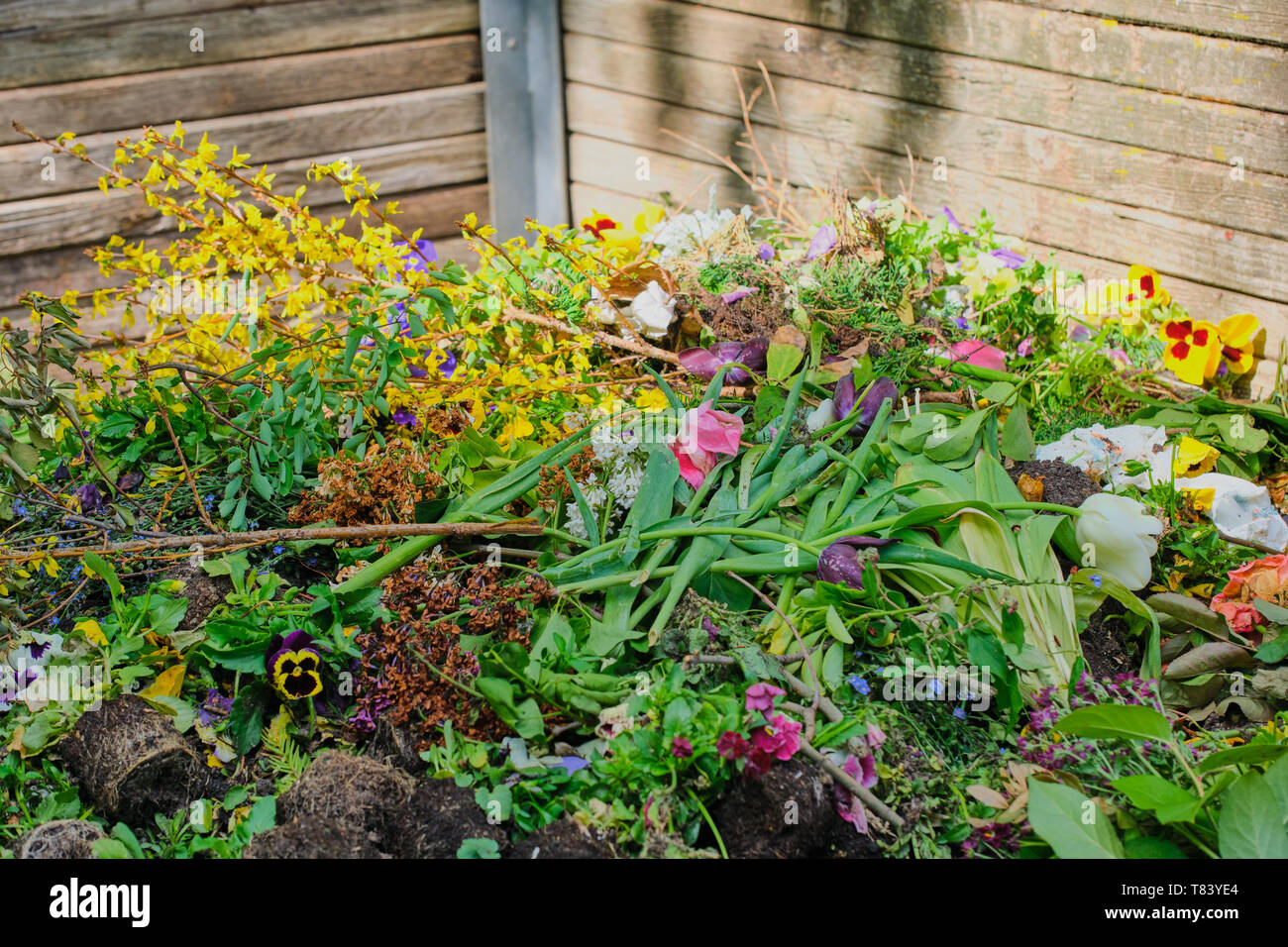 Waste flowers hires stock photography and images Alamy