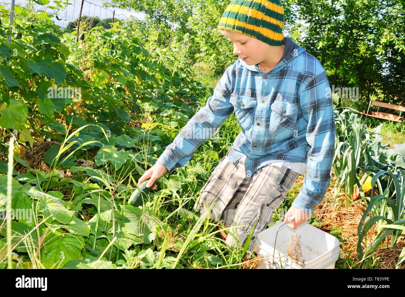Boy in bucket hat hi-res stock photography and images - Alamy