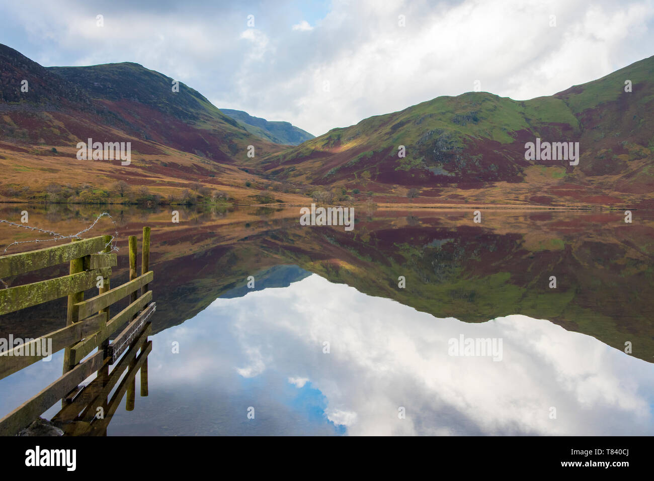 Early morning on the shore of Crummock Water a lake situated in the area called The Lake District in Cumbria,UK.            The Lake District is a UNE Stock Photo