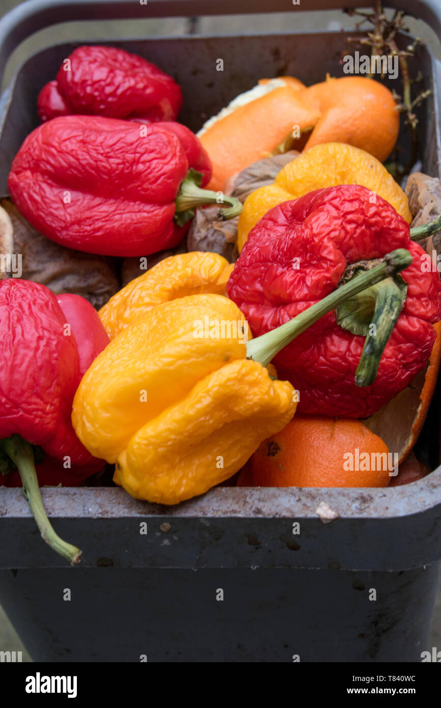 Home kitchen wast food in a recycling bin Stock Photo