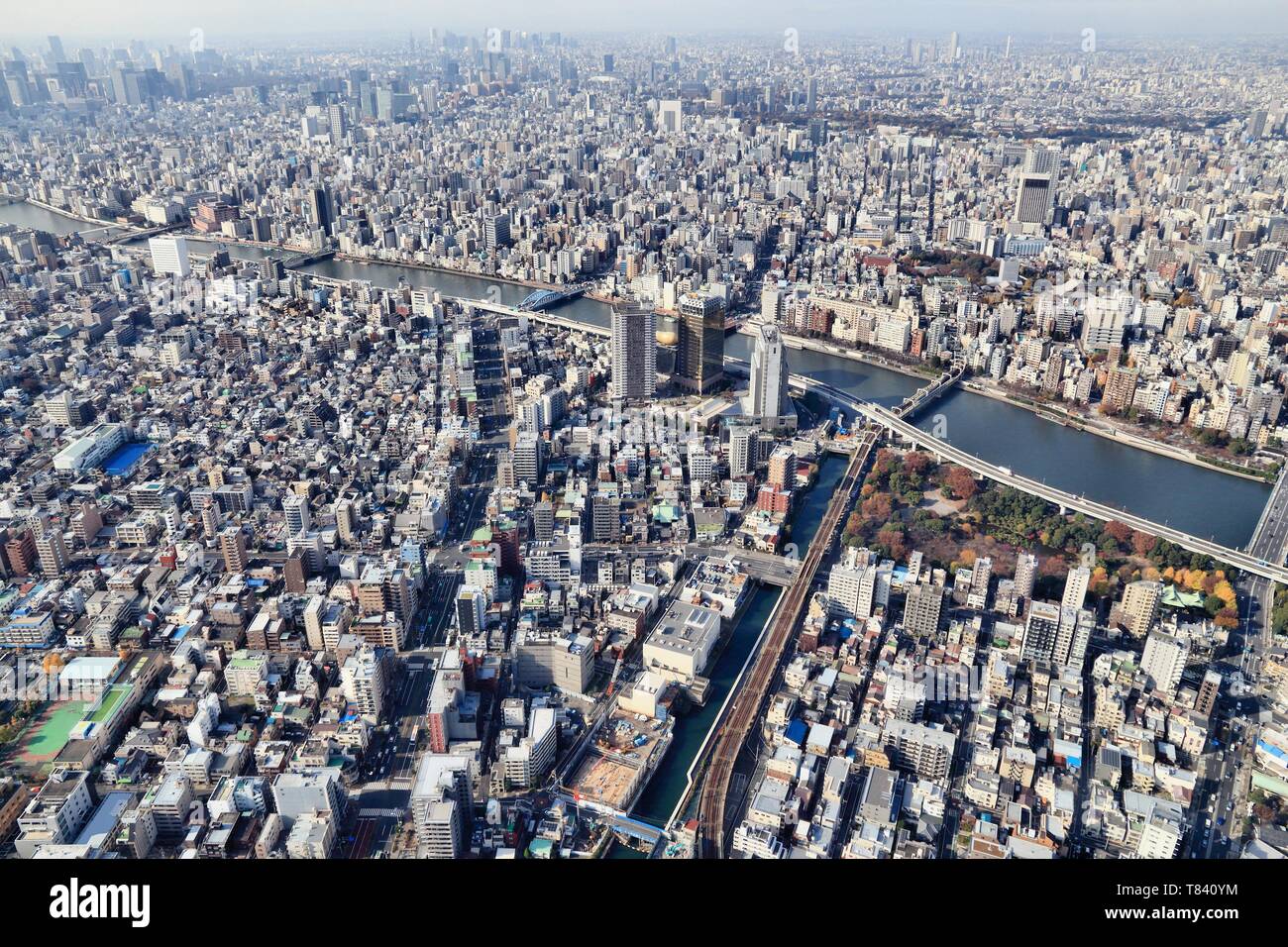 Tokyo aerial view - city view with Sumida and Taito wards. Stock Photo
