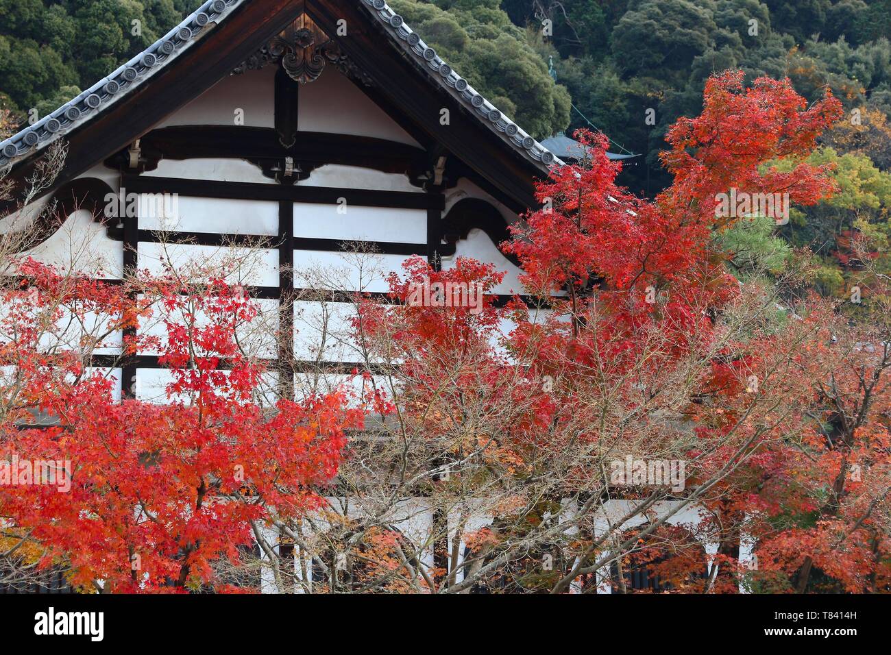 Kyoto, Japan - autumn leaves at Eikando Zenrinji temple. Stock Photo