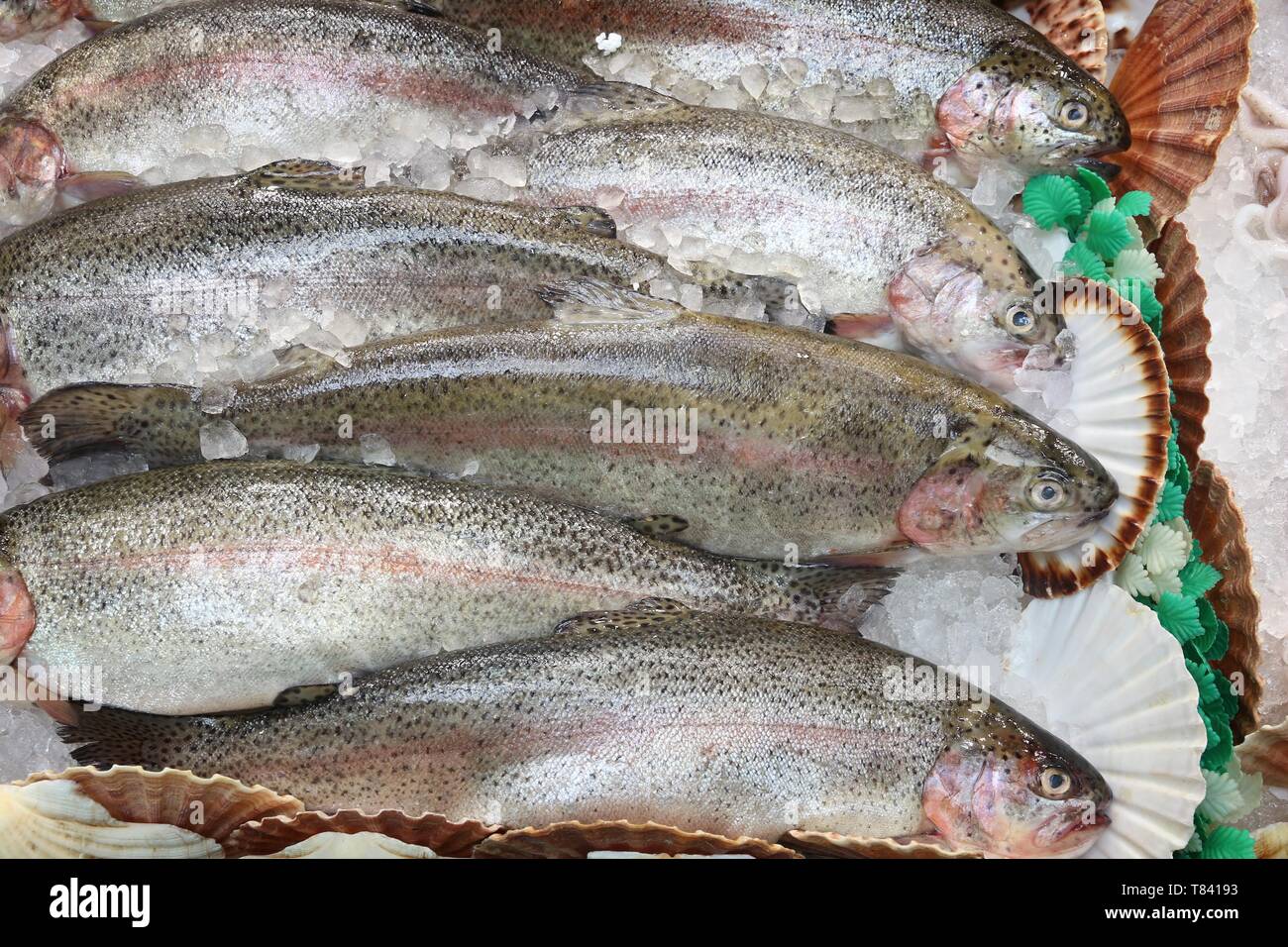 Rainbow trout seafood shopping at a market place in Leeds, UK Stock
