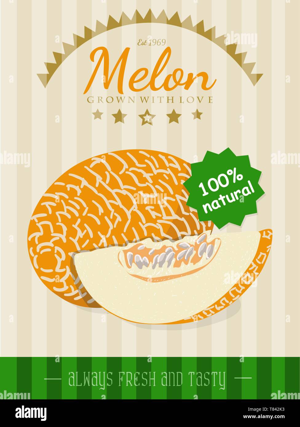 Vector poster with a melon. Vector illustration for your design Stock Vector