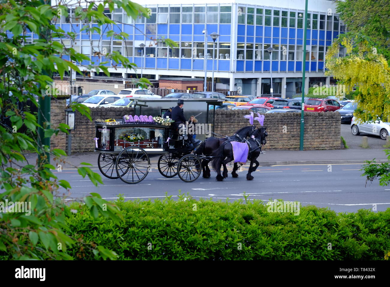 A horse-drawn funeral carriage passes by Clarendon College on Mansfield Road, Nottingham on its way to a funeral Stock Photo