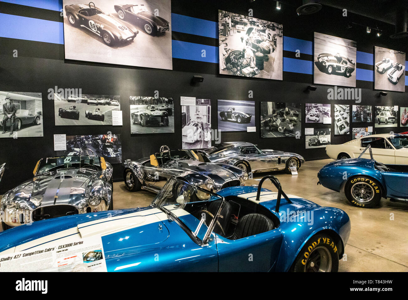The Carroll Shelby museum a Tourist attraction in Las Vegas Nevada USA  Stock Photo - Alamy