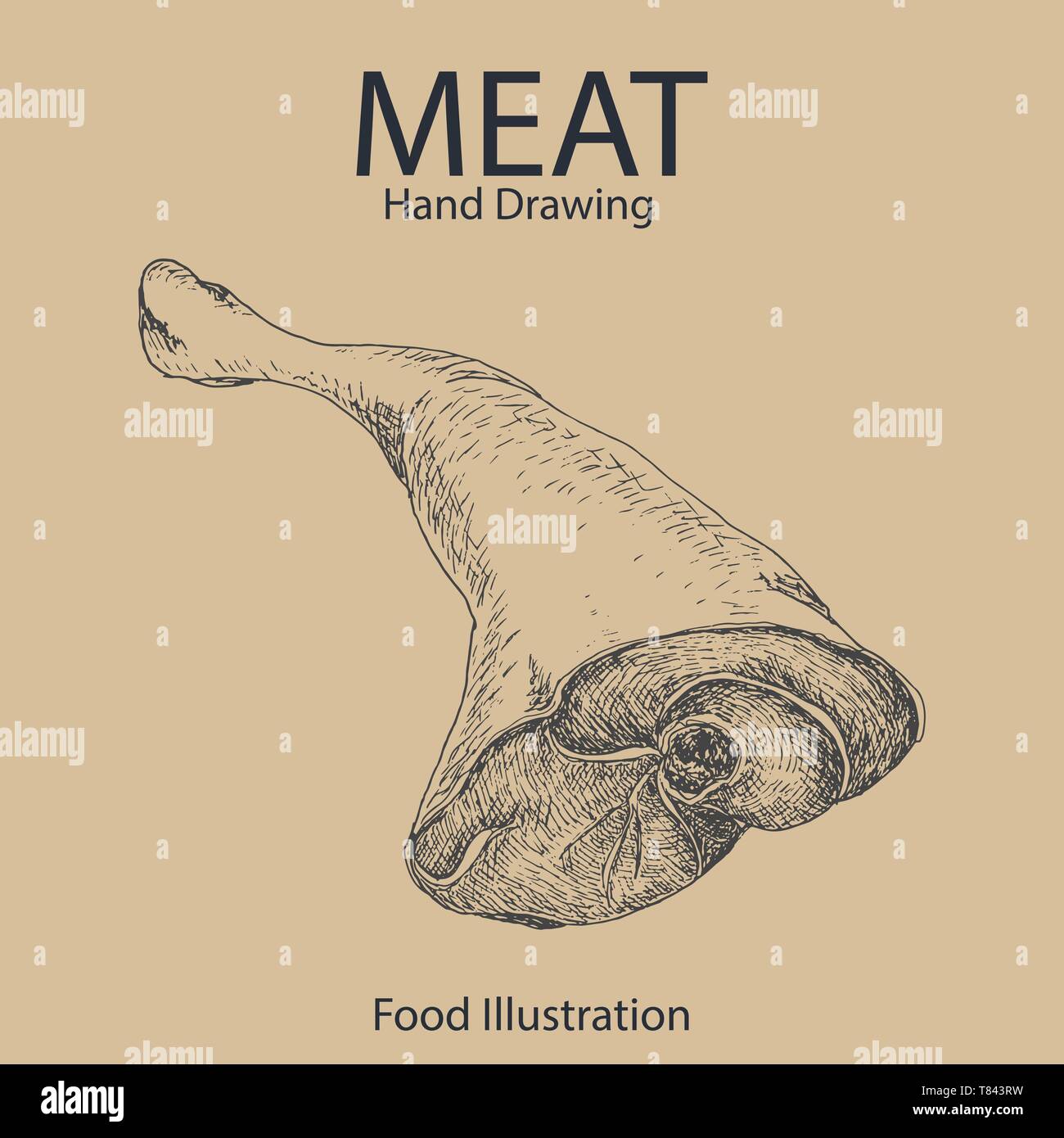 Vector background of hand drawn meat. Vector illustration for your ...