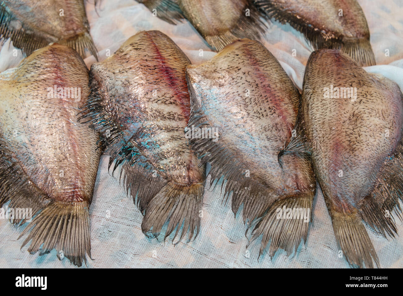 Sun-dried salty raw Snakeskin gourami fishes for sale in the local fresh market in Thailand. Bang Kachao, Samut Prakan. Stock Photo