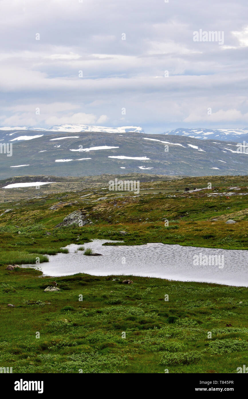 Hardanger plateau, Norway, Scandinavia, Europe Stock Photo