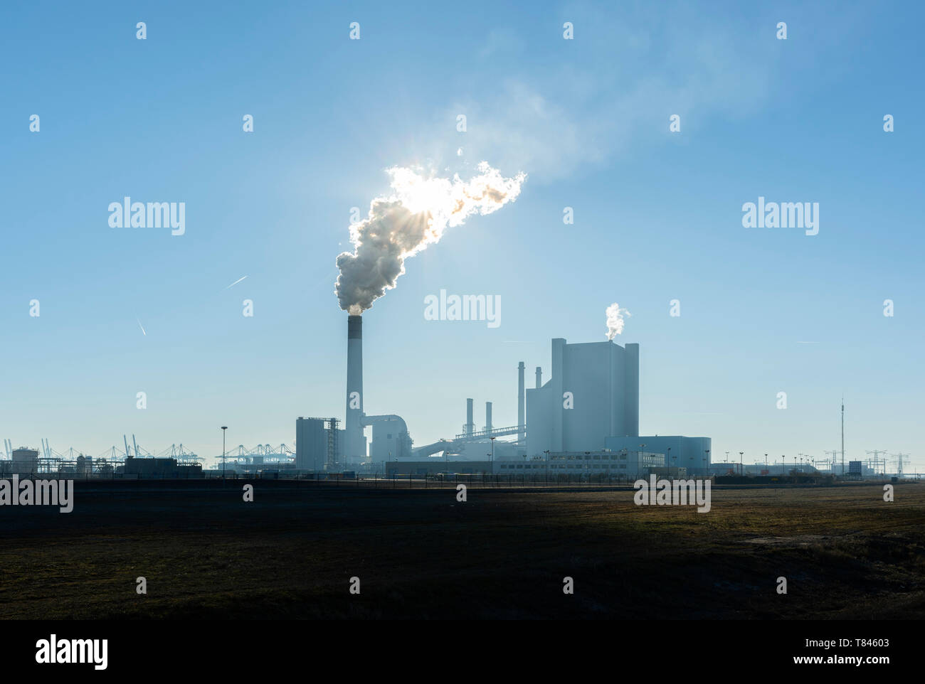 Coal fired power stations, Maasvlakte, Rotterdam, Zuid-Holland, Netherlands Stock Photo