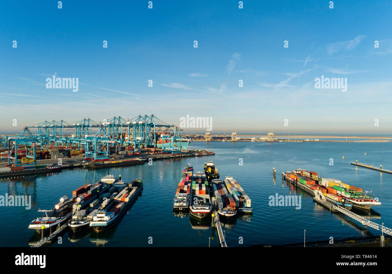 Inland shipping and large container terminal, Maasvlakte, Rotterdam, Zuid-Holland, Netherlands Stock Photo