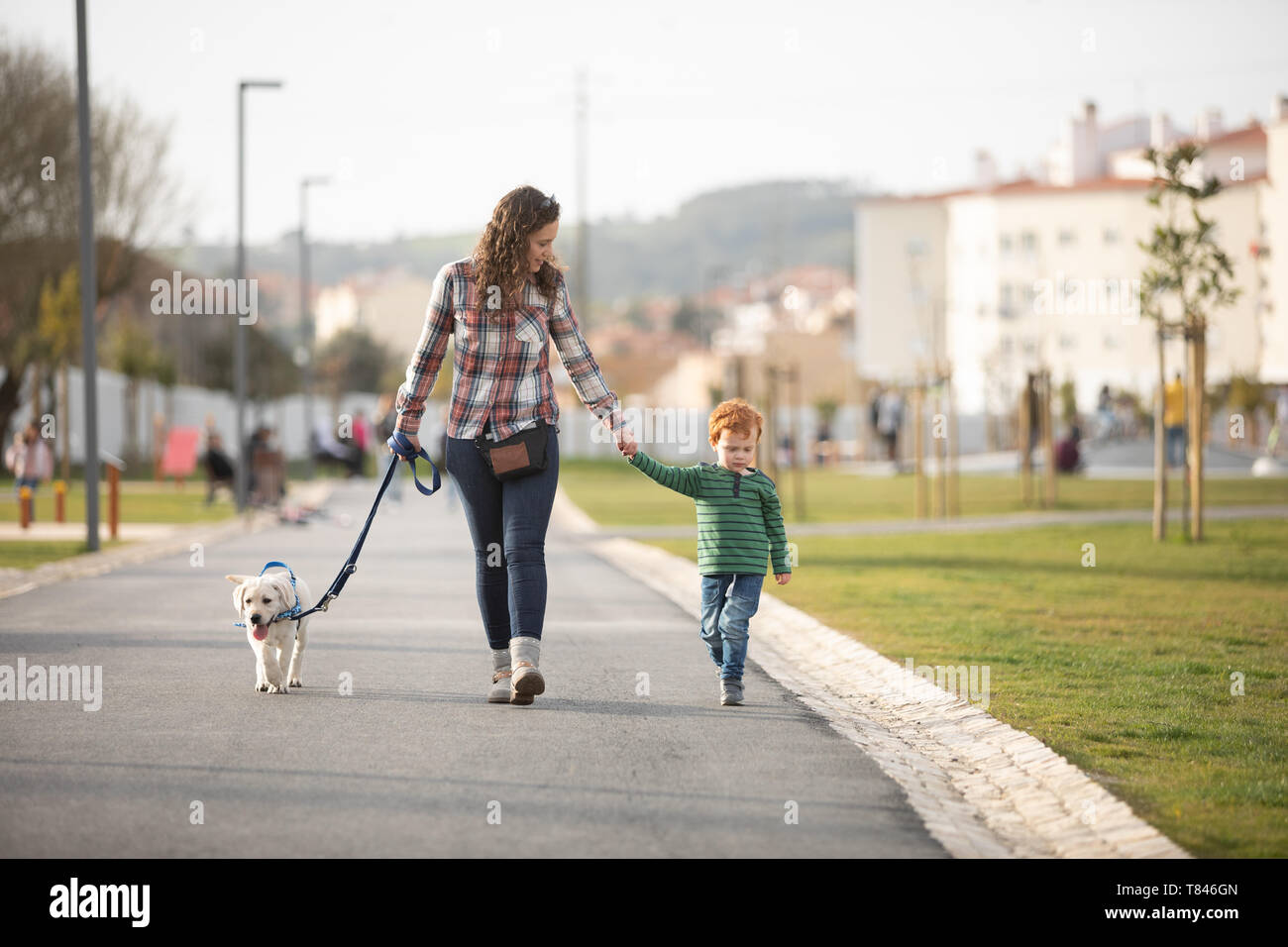 Mother dog quiets puppies