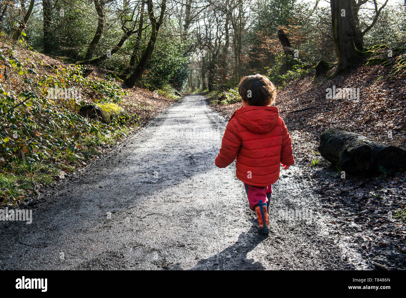 Child walking alone forest hi-res stock photography and images - Alamy