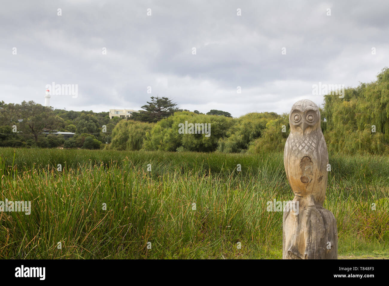 Owl wood carving in the middle of a country area near to Great Ocean