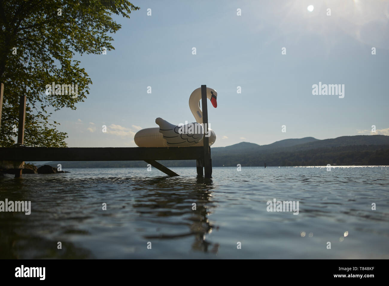 Inflatable swan on dock Stock Photo