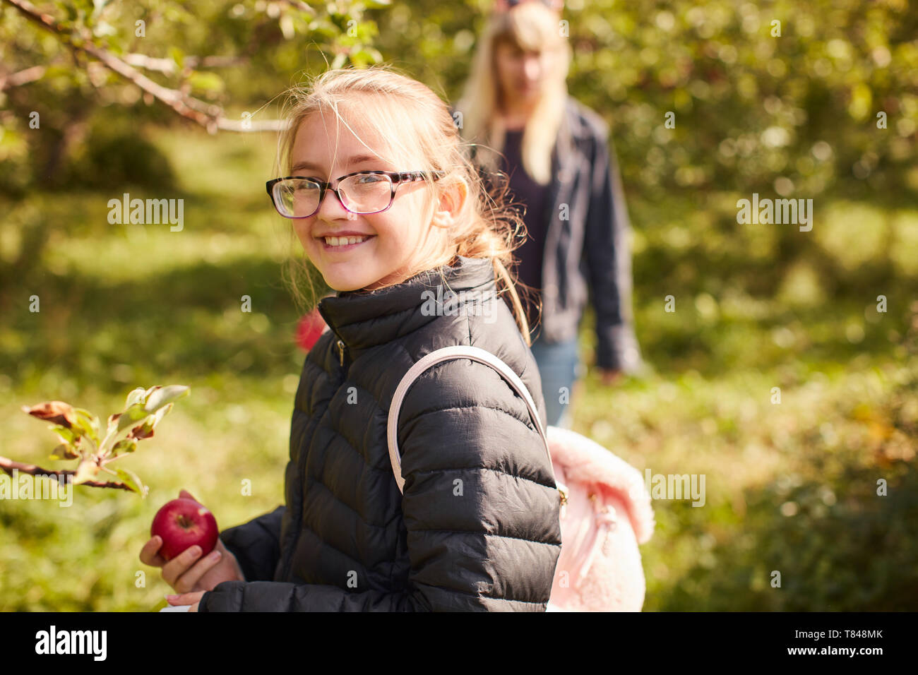 Girl picking apples from tree Stock Photo